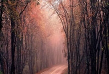 足球——欧冠：拜仁慕尼黑晋级八.