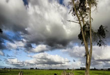 安博体育：[图]英超-若塔替补救主 利物浦1-1森林联赛两连平.