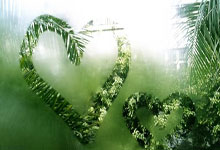 记者：拜仁预计阿方索将缺阵七个月，于今年月恢复训练.